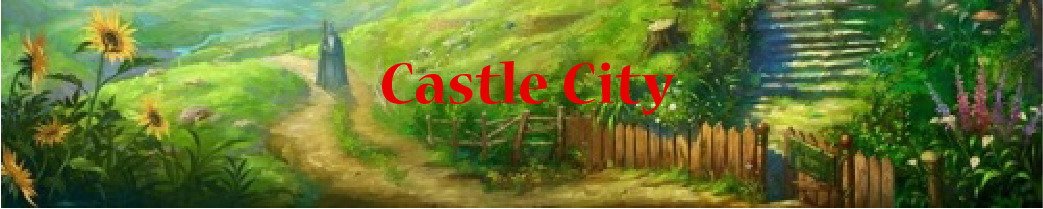 Serveur Minecraft Castle City