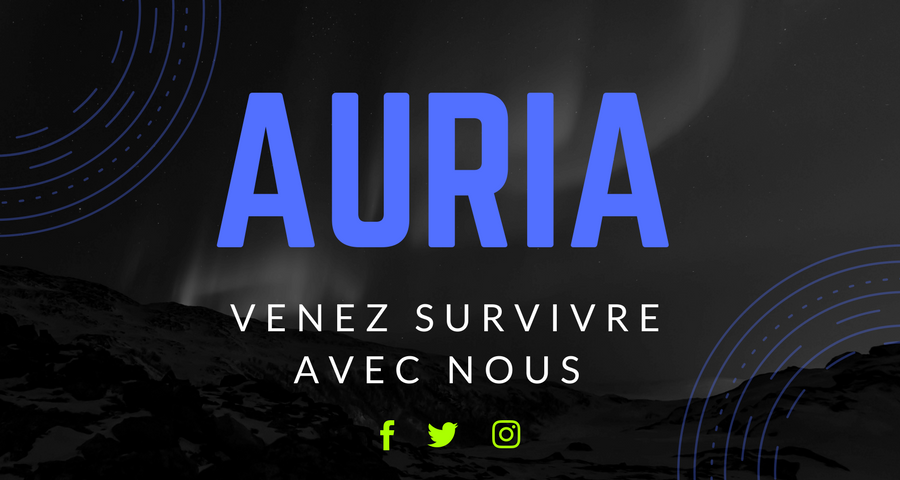 [FR/EU]Auria | LVL | X3 | KITS | TP | HOME | WIP